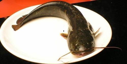 韩国鲶鱼爆料视频大全下载,揭秘娱乐圈幕后真相