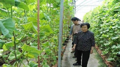 南充吃瓜最新事件爆料是真的吗,最新爆料真相揭秘 第2张 南充吃瓜最新事件爆料是真的吗,最新爆料真相揭秘 第2张