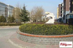 柏林在线观看,虚拟漫步这座历史名城的魅力瞬间